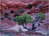 Arches National Park 2002