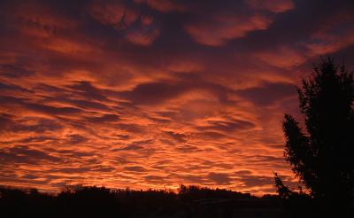 Fall-Sunup.jpg