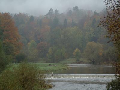 Fall-misty-morn.jpg