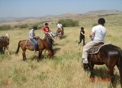 riding ayelet hashachar