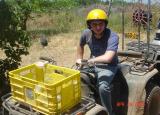 ATV