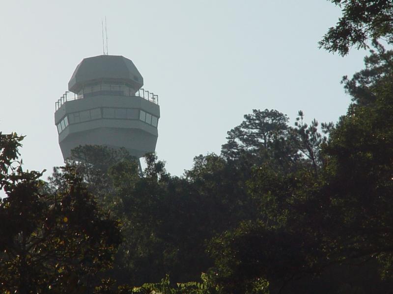 The UFO flew low over the trees.<br><font size=1>Callisto</font></p>