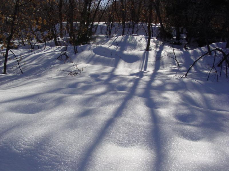 Shadows and Reflections by Mark Wood