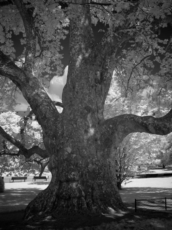 old by ymer <br><font size=1>DSC02831</font>