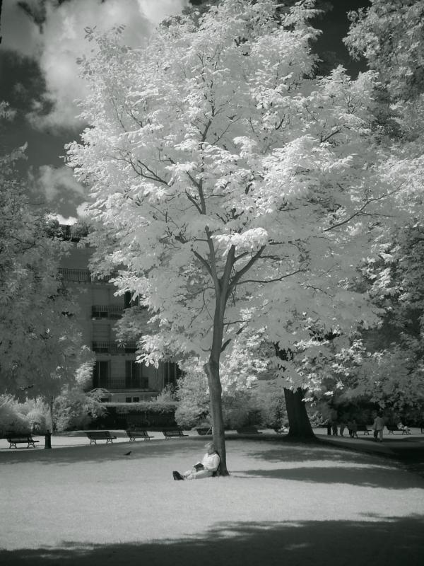 sitting in the sun by ymer<br><font size=1>DSC02830</font>