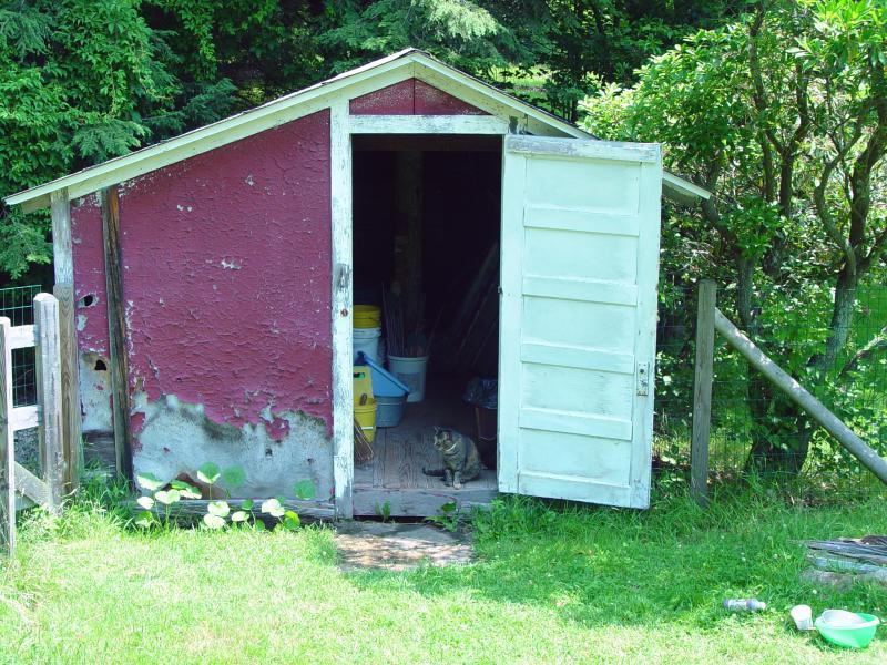 farm shed.jpg<BR> Barry George