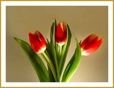Future Blooms by Mark J