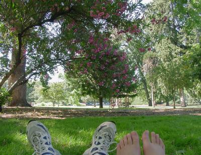 Kickin Back in the Park by CindyD