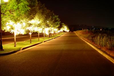 Who needs streetlights? by Jared