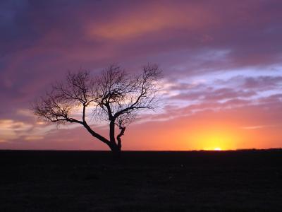 Texas Sunset