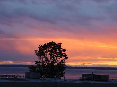 Watching over Bellingham Bayby Ann Chaikin