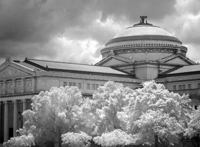 Museum Trees by Erichocinc