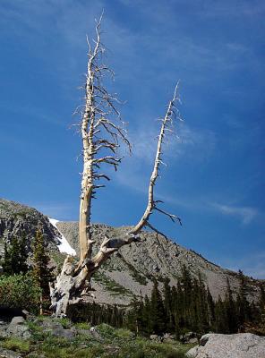 Death At Two Miles Up by Lisa Young