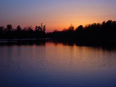 Sunset Silhouettesby Michael Buckman