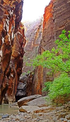 <b>Heading to the Narrows, 2</b><br><font size=1>by Howdy</font size>