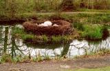 Big Birds nest<BR>By KoosF