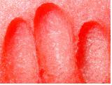 bloody  fingers? by florg