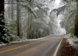 <b>Skyline Drive in the Snow</b><br><em><font size=-1>by Rayna</font></em>