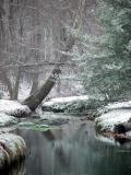 Winter Water by Cara Davis