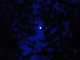 <center><B>Moon Encircled</b><br><font size=2>by Michael Buckman