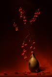 7th Place<br>Vase with apples *<br>by Willem