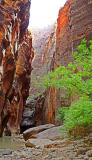 <b>Heading to the Narrows, 2</b><br><font size=1>by Howdy</font size>