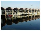 The  Marina by florg