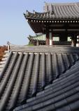 <p align=center> <b> Tochoji Roofs </b> <br> <font size=1> by Helen Betts </font> </p>
