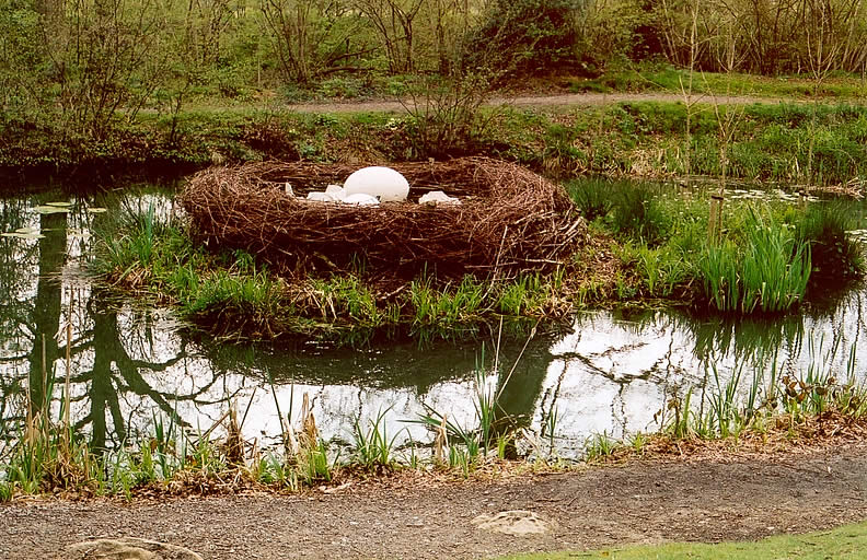 Big Birds nest<BR>By KoosF