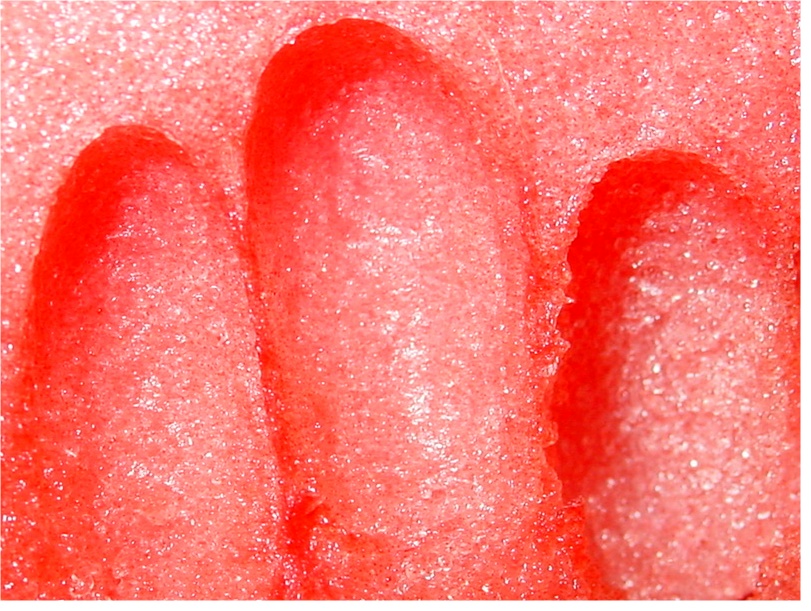 bloody  fingers? by florg