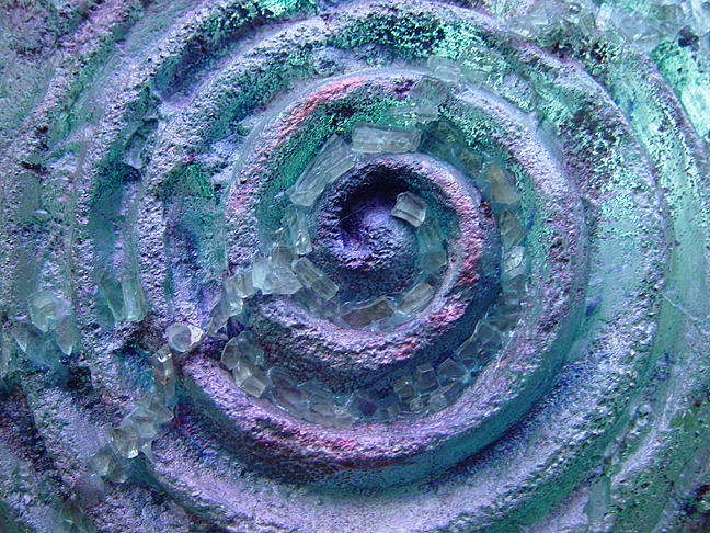 <B>Bullseye!</B><BR>by Ann Chaikin