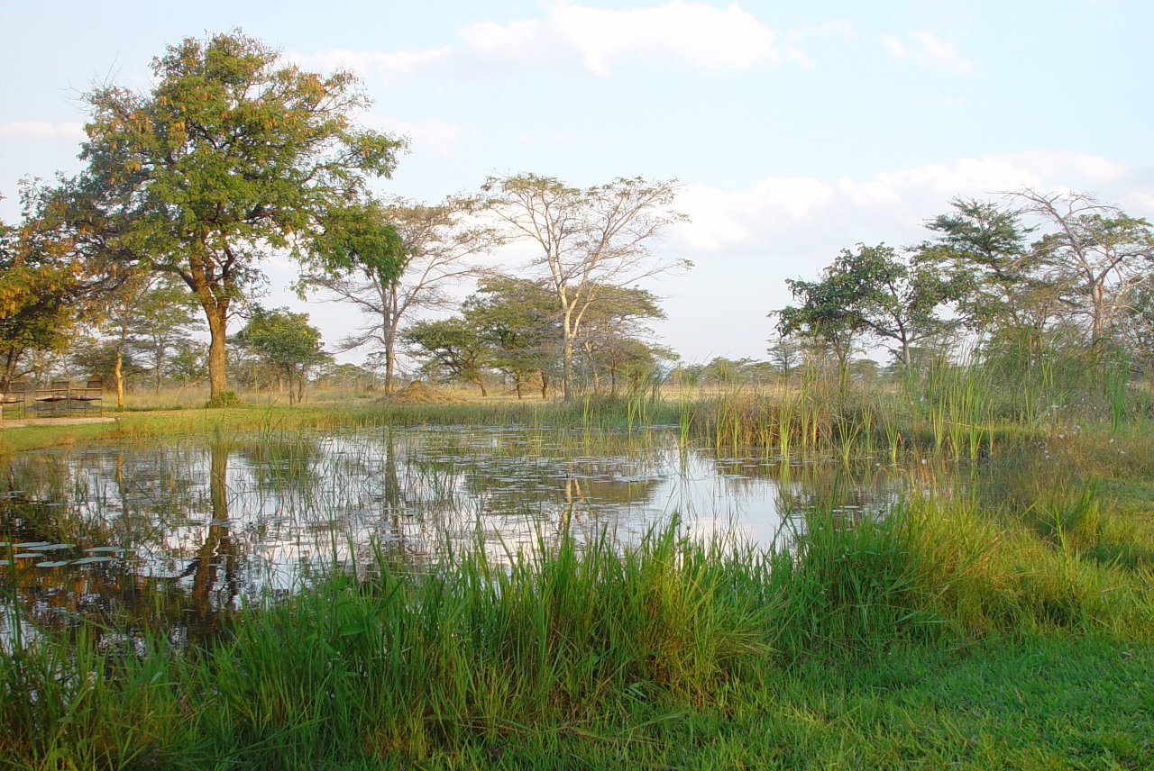 Wetland area Kafue Flats, Zambia by Marcello