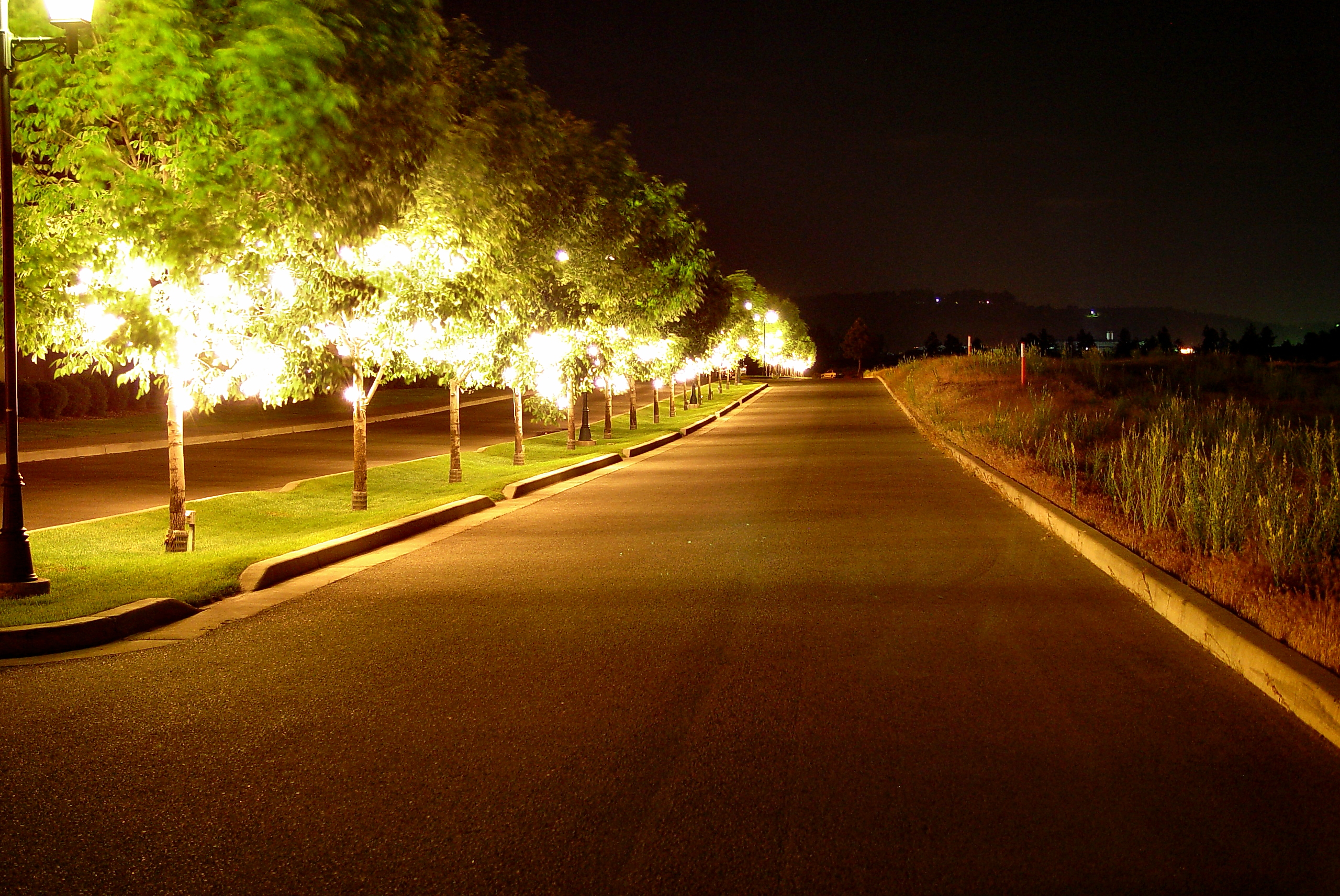 <B>Who needs streetlights?</B><br><font size=1> by Jared</font >