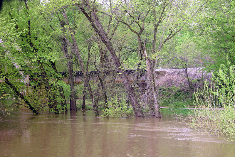 <b>Wet Feet</b><br>K Miller