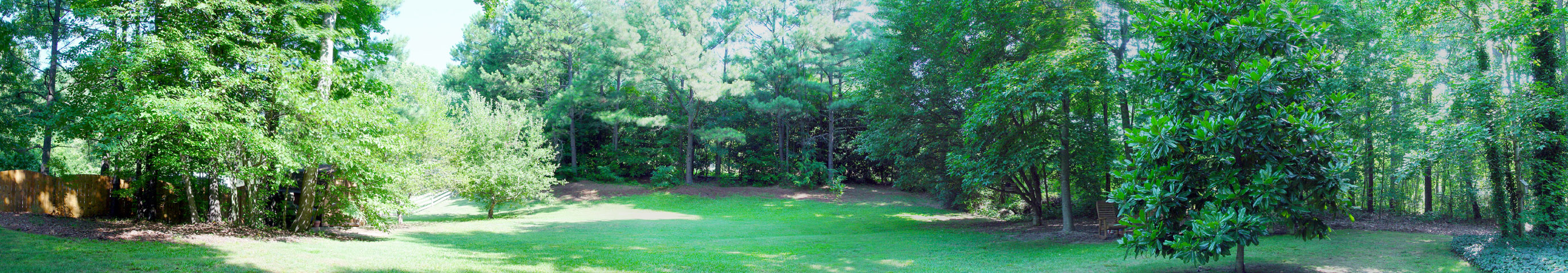 <B>Peaceful View</B><br>Faye White