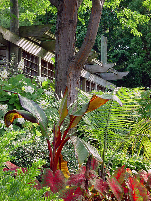 Tree Garden<br><font size=1> by MFC</font></p>