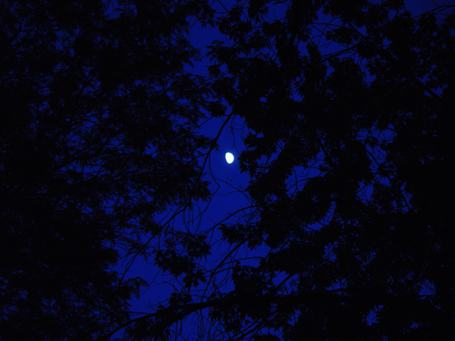 <center><B>Moon Encircled</b><br><font size=2>by Michael Buckman