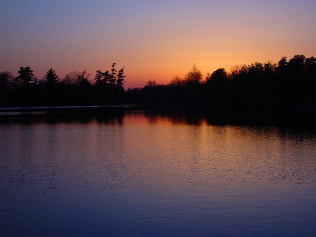 <p align center><B>Sunset Silhouettes</b><br><font size 1>by Michael Buckman