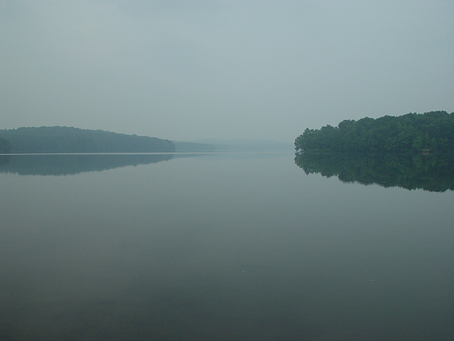 <p align center><B>Trees Adrift </b><br><font size=1>by Michael Buckman