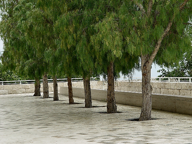 <B>Lineup at the Getty Center<BR><FONT SIZE=1>by Loren Charif</FONT><BR></B>