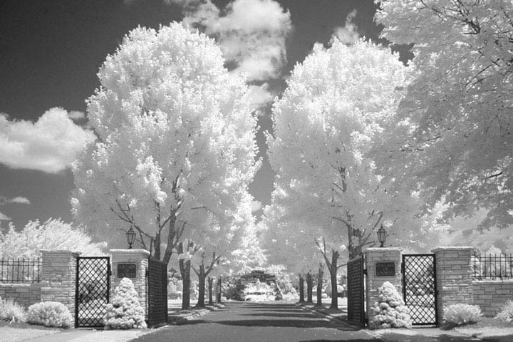 <p align=right><b>Holy Gates 1</b><br><i><font size=1> resubmitted - photographed by Jarett</font></i>