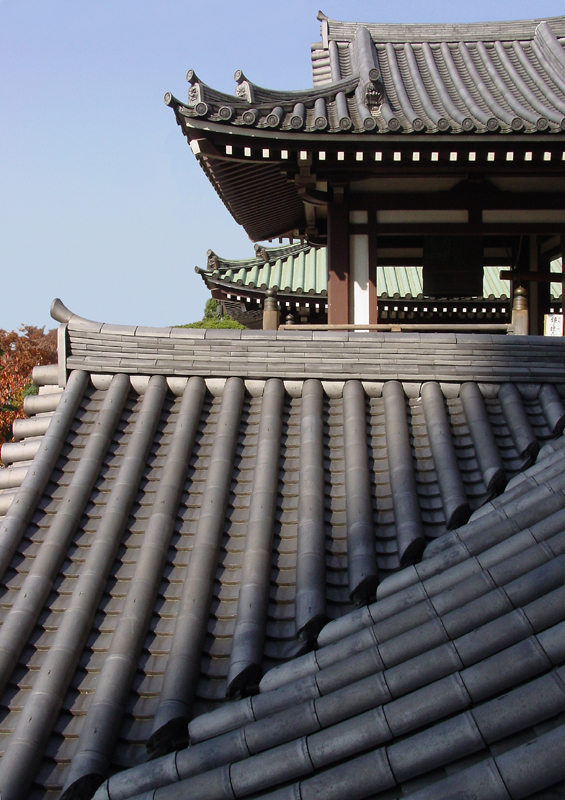 <p align=center> <b> Tochoji Roofs </b> <br> <font size=1> by Helen Betts </font> </p>