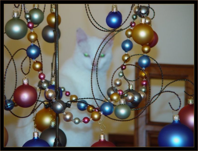 <b>Christmas with Cassie</b><br><font size=1>by Bev Brink</font>