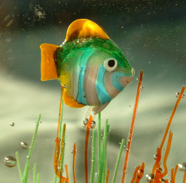  Ann Cs Fish in glass   By Dave McMillan