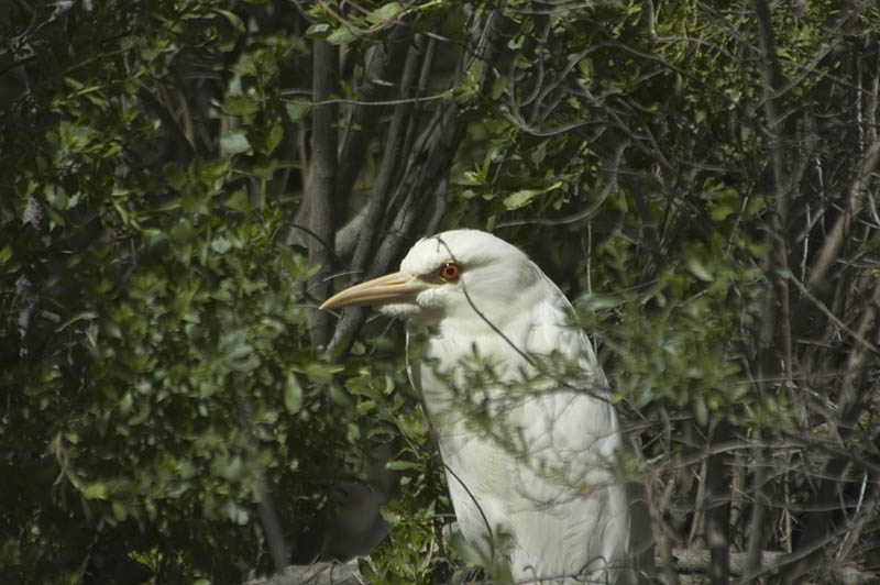 DSC_1414.JPG