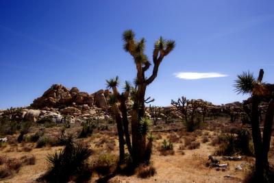 _MG_2673.jpg