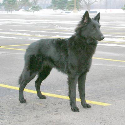 7 months old