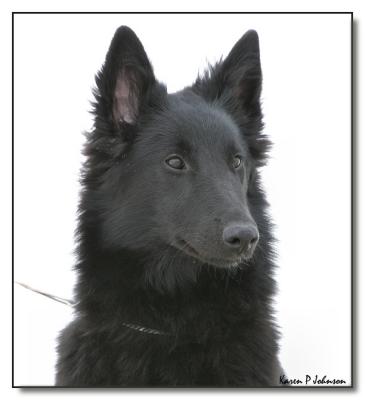 7 months old