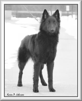 7 months old
