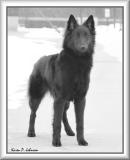 7 months old